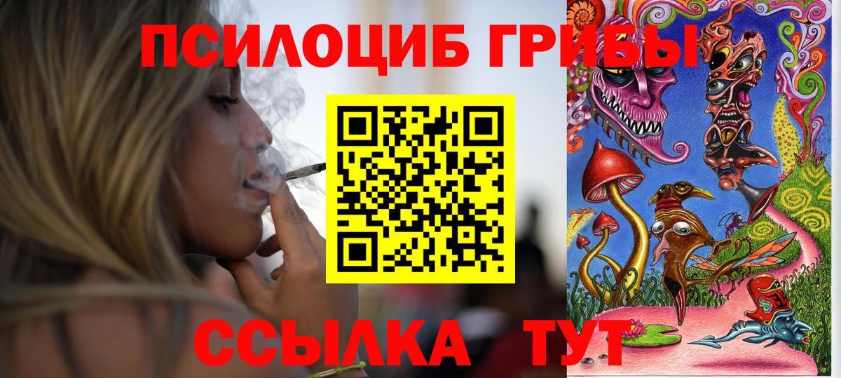 Псилоцибиновые грибы Psilocybe  Псилоцибиновые грибы прущие грибы  Альметьевск  Вход с VPN 