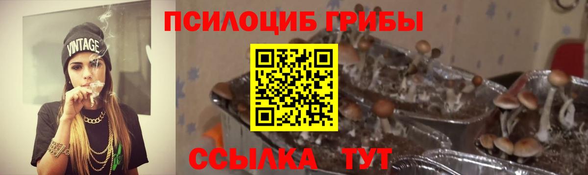 Псилоцибиновые грибы GOLDEN TEACHER Альметьевск